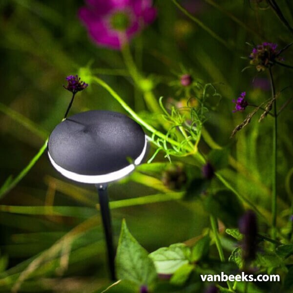 in-lite Sway Light Head